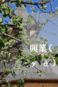 興業(yè)銀行逾期還首期后分期(興業(yè)銀行逾期還首期后分期怎么辦)