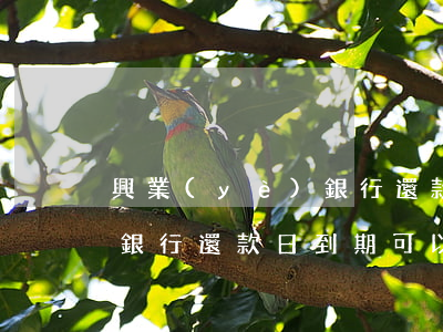 興業(yè)銀行還款寬逾期(興業(yè)銀行還款日到期可以寬限幾天)