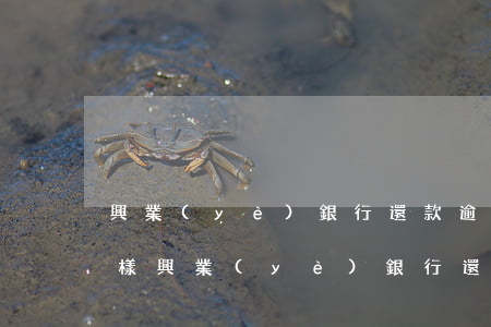 興業(yè)銀行還款逾期會(huì)怎樣(興業(yè)銀行還款逾期會(huì)怎樣)