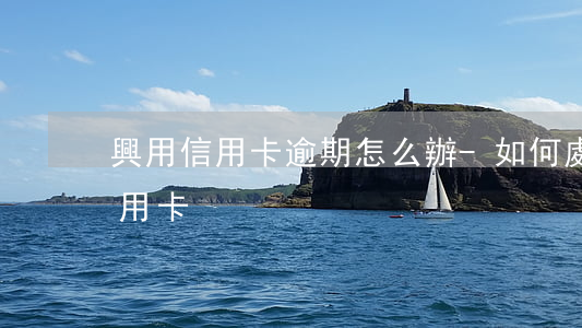 興用信用卡逾期怎么辦-如何處理逾期的信用卡