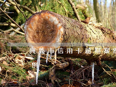 興義市信用卡逾期案例（興義市信用卡逾期案例）
