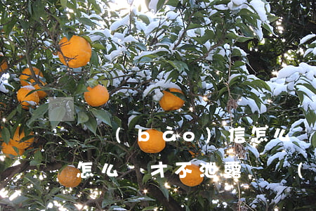 舉報(bào)信怎么寫(舉報(bào)信怎么寫才不泄露舉報(bào)人)