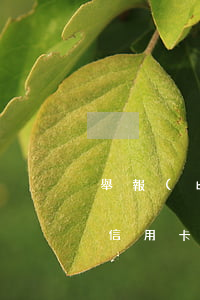 舉報(bào)信用卡逾期(舉報(bào)信用卡逾期怎么舉報(bào))