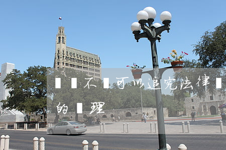 舉報不實可以追究法律責任嗎(對于不實舉報的處理)