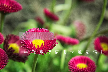 舉報銀行信用卡逾期(信用卡逾期怎么辦)