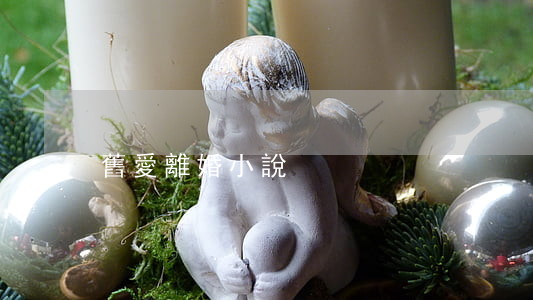 舊愛離婚小說
