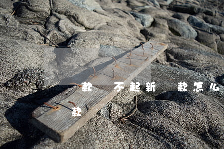 舊貸款還不起新貸款怎么辦（舊貸款還不起新貸款）
