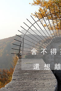 舍不得孩子但還想離婚怎么辦(舍不得孩子但還想離婚怎么辦)