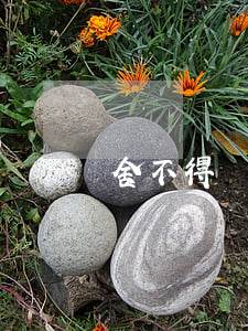 舍不得離婚