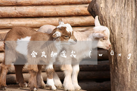 舍友知道欠網(wǎng)貸