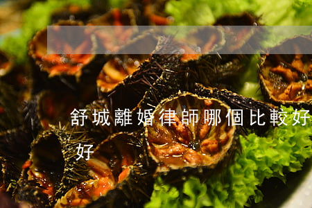 舒城離婚律師哪個比較好(遷安離婚律師哪個好)