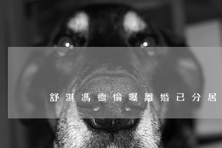 舒淇馮德倫曝離婚已分居