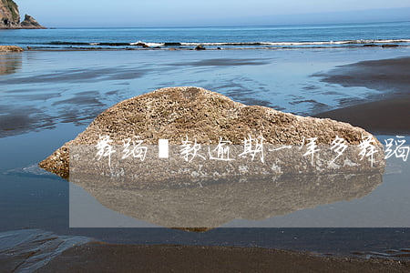 舞蹈貸款逾期一年多(舞蹈貸款違法嗎)