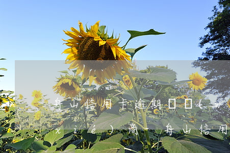 舟山信用卡逾期債務(wù)重組怎么協(xié)商-舟山信用卡逾期債務(wù)重組怎么協(xié)商還款