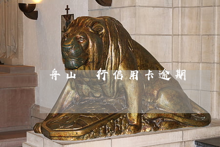 舟山銀行信用卡逾期