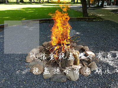 航信金税盘提示有逾期没申报记录-航信金税盘提示有逾期没申报记录怎么办