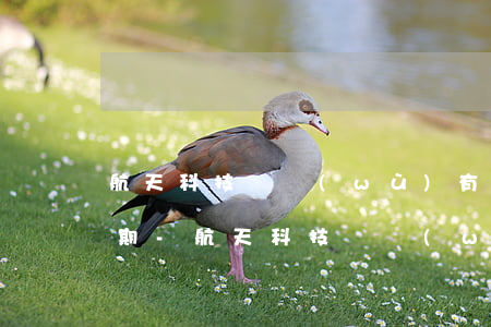 航天科技財務(wù)有限責任公司商票逾期-航天科技財務(wù)的承兌能收嗎
