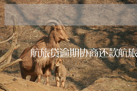 航旅贷逾期协商还款(航旅贷逾期协商还款)