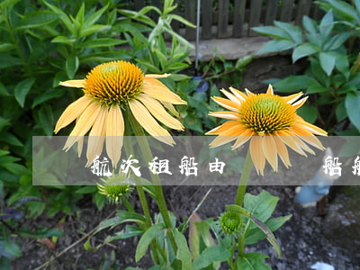 航次租船由誰負責船舶營運管理