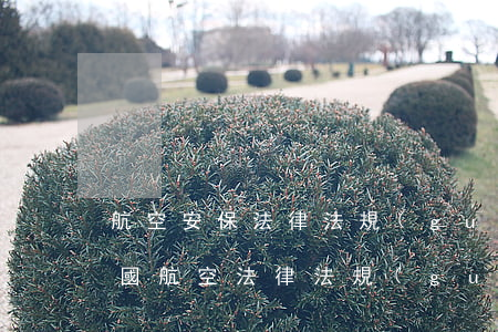 航空安保法律法規(guī)體系包含(中國航空法律法規(guī)總共有哪些)
