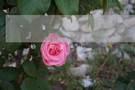船只租赁协议