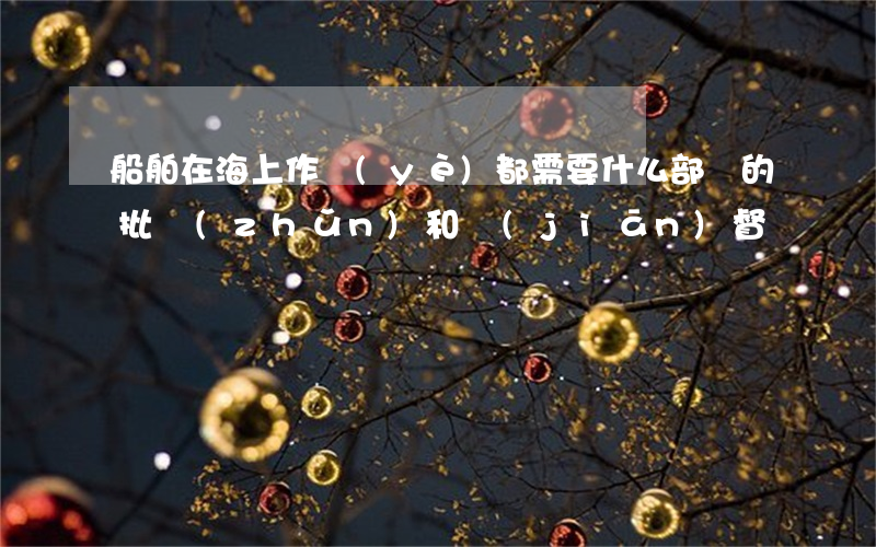 船舶在海上作業(yè)都需要什么部門的批準(zhǔn)和監(jiān)督