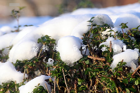 船舶抵押后可以出售嗎