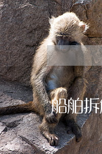 船舶拆解需要什么資質