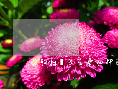 船舶拍賣是否要扣押船舶