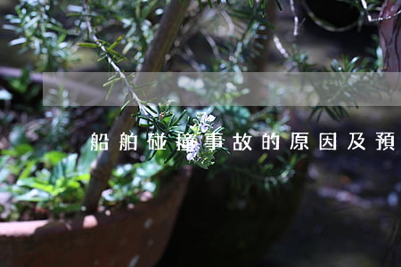 船舶碰撞事故的原因及預(yù)防