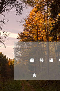 船舶碰撞損害責任糾紛中，出租人是否承擔損害賠償責任
