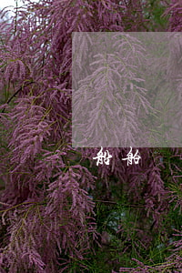 船舶還不起貸款(船舶還不起貸款怎么辦)