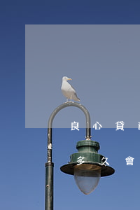 良心貸逾期多久會(huì)起訴(貸款逾期多久會(huì)被起訴會(huì)有什么后果)