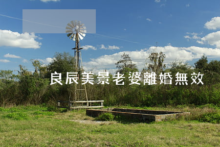 良辰美景老婆離婚無效