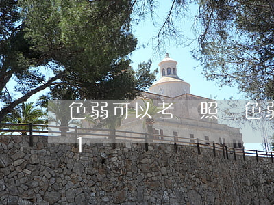 色弱可以考駕照嗎(色弱可以考駕照嗎2021)