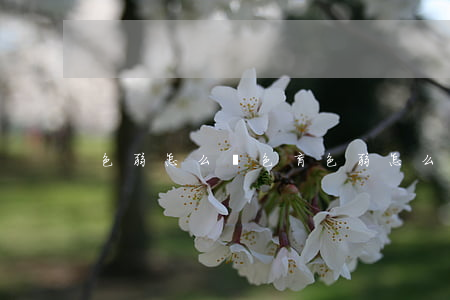 色弱怎么辦(色盲色弱怎么辦)