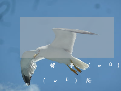 艾倫律師事務(wù)所怎么樣(偉倫律師事務(wù)所)