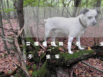 艾滋病信用卡不還會坐牢嗎(欠信用卡不還會不會坐牢)