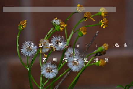 艾滋病實(shí)名制(艾滋病實(shí)名制信息遭泄漏)
