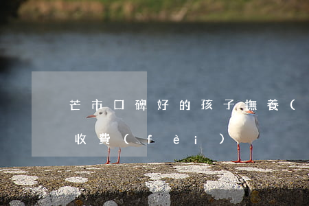 芒市口碑好的孩子撫養(yǎng)案律師收費(fèi)
