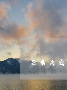 芒果交通事故賠償案例