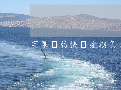 芒果銀行快貸逾期怎么辦(芒哩好貸逾期)