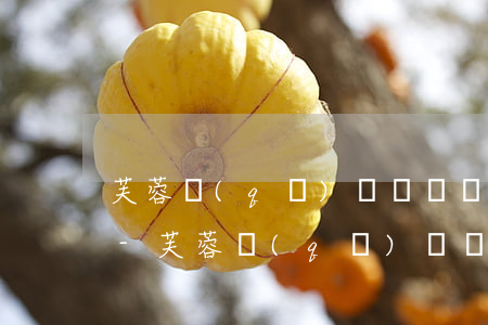 芙蓉區(qū)債權債務官司律師問題咨詢-芙蓉區(qū)債權債務官司律師問題咨詢電話