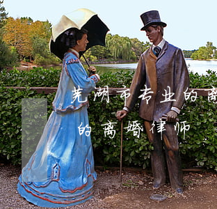 芜湖市专业的离婚财产分割律师(芜湖有名气的离婚律师)