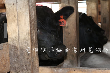 芜湖律师协会官网(芜湖市律师事务所)