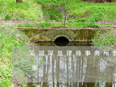 芜湖深蓝律师事务所怎么样(芜湖哪个律师厉害)