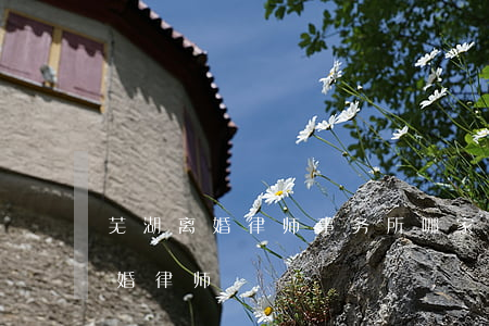 芜湖离婚律师事务所哪家好(芜湖有名气的离婚律师)