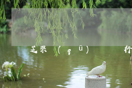 芝罘區(qū)齊豐銀行貸款逾期