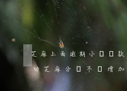 芝麻上面逾期小額貸款(芝麻信用逾期申訴成功芝麻分會不會增加)