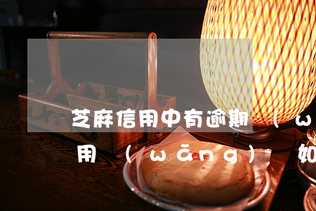 芝麻信用中有逾期網(wǎng)貸(芝麻信用網(wǎng)貸如何申訴)